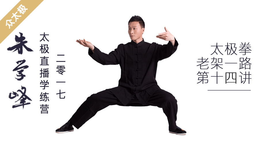 众太极2017第十五讲