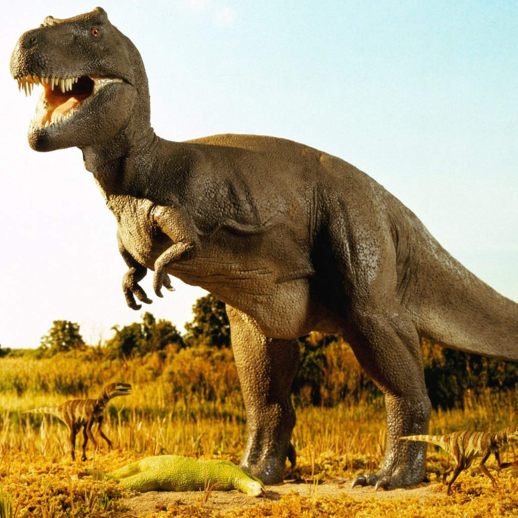 善良和爱的种子