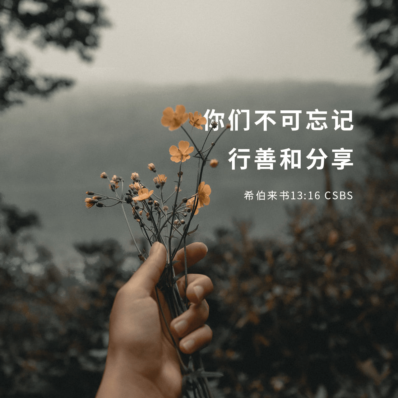 【新加坡】5月10主日崇拜:亲情的可贵